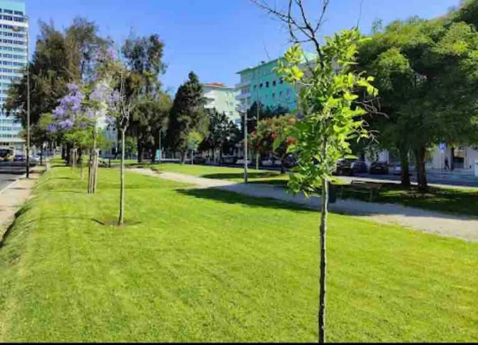 Ola Lisboa ! Central Apartment Lightning Quiet View Garden 10Mn Airport Portugal