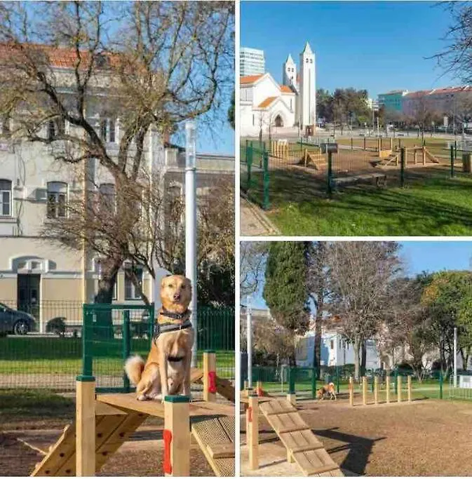 Ola Lisboa ! Central Apartment Lightning Quiet View Garden 10Mn Airport Lisbon